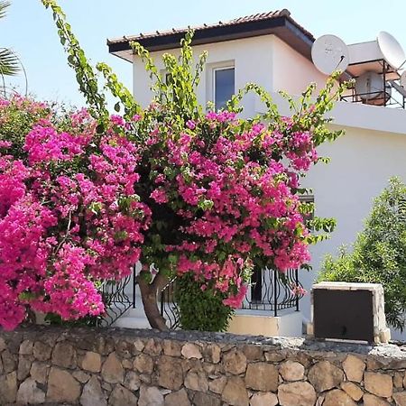 Villa Bougainvillea With Privite Pool Vasilia Exteriér fotografie