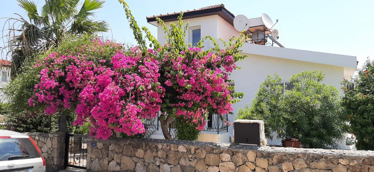 Villa Bougainvillea With Privite Pool Vasilia Exteriér fotografie