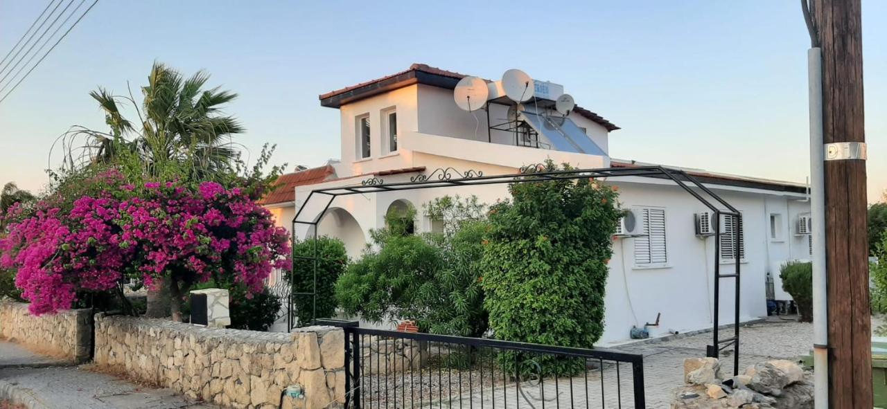 Villa Bougainvillea With Privite Pool Vasilia Exteriér fotografie