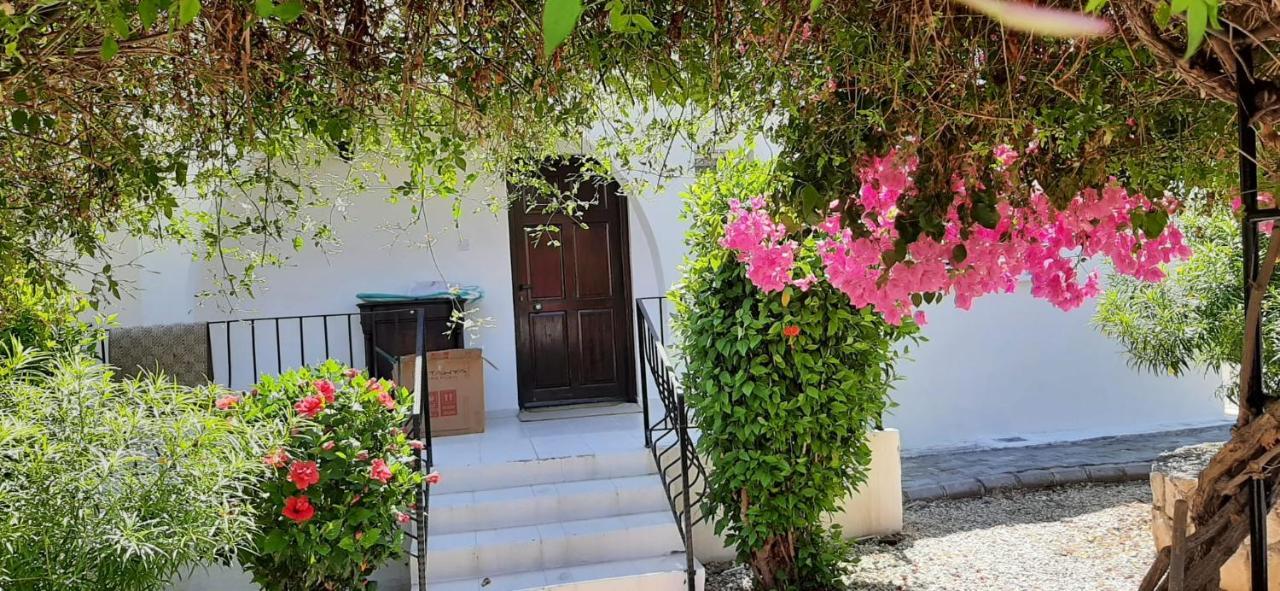 Villa Bougainvillea With Privite Pool Vasilia Exteriér fotografie
